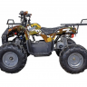 Квадроцикл GreenCamel Атакама T120 (48V20Ah 800W R8 Цепь)