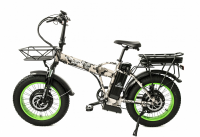 Электровелосипед Elbike TAIGA 3 Twix 2000 cam (C34)
