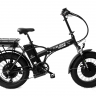 Электровелосипед Elbike TAIGA 3 Twix 2000 (C34) Электровелосипед Elbike TAIGA 3 Twix 2000 (C34)