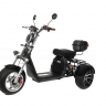 Электротрицикл GT X12 Электротрицикл GT X12