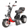 Электротрицикл WHITE SIBERIA IKRA 5000W BLACK Электротрицикл WHITE SIBERIA IKRA 5000W BLACK