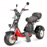 Электротрицикл WHITE SIBERIA IKRA 5000W BLACK Электротрицикл WHITE SIBERIA IKRA 5000W BLACK
