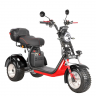 Электротрицикл WHITE SIBERIA IKRA 5000W BLACK Электротрицикл WHITE SIBERIA IKRA 5000W BLACK